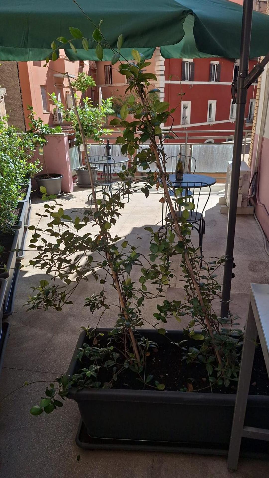 Aparthotel Nasoni Di Roma Exterior foto